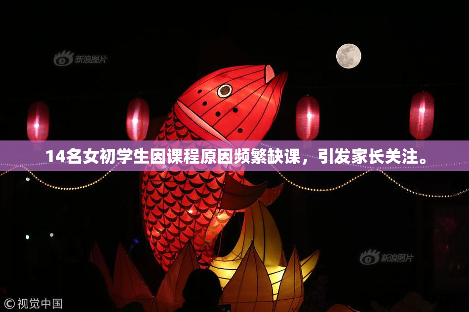 14名女初学生因课程原因频繁缺课，引发家长关注。