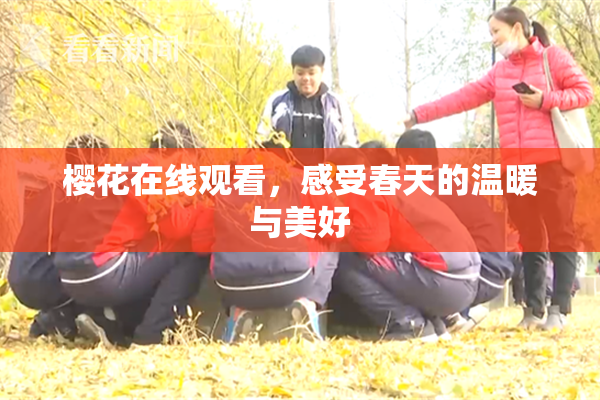 樱花在线观看，感受春天的温暖与美好
