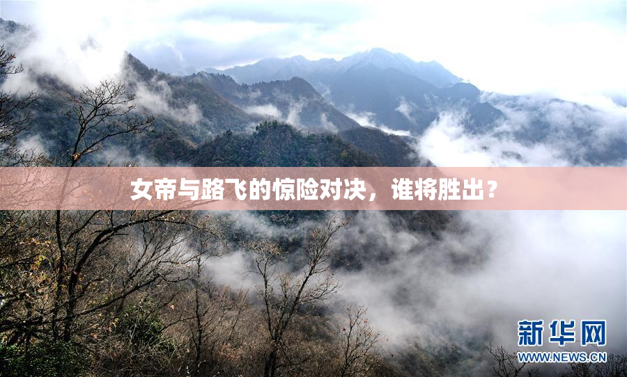 女帝与路飞的惊险对决，谁将胜出？