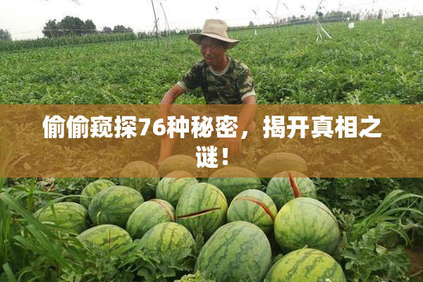 偷偷窥探76种秘密，揭开真相之谜！