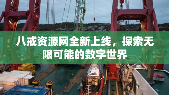 八戒资源网全新上线，探索无限可能的数字世界