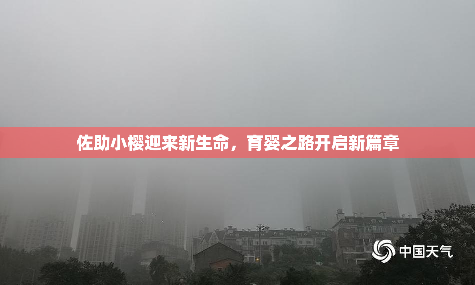 佐助小樱迎来新生命，育婴之路开启新篇章