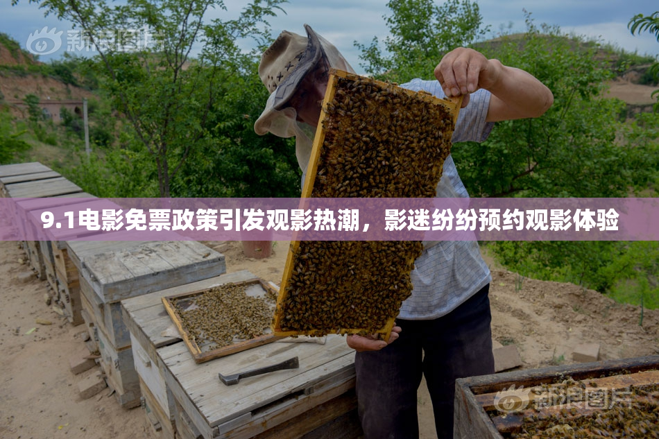9.1电影免票政策引发观影热潮，影迷纷纷预约观影体验