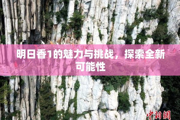 明日香1的魅力与挑战，探索全新可能性