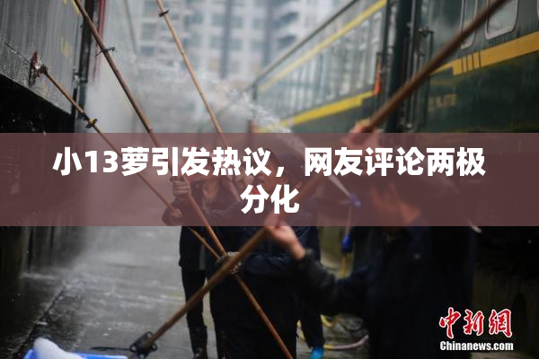 小13萝引发热议，网友评论两极分化