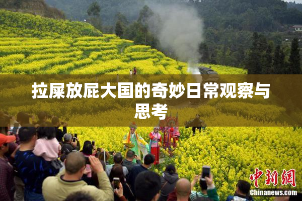 拉屎放屁大国的奇妙日常观察与思考