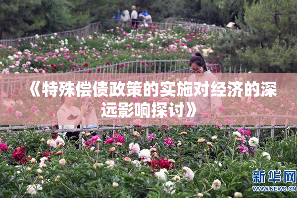 《特殊偿债政策的实施对经济的深远影响探讨》