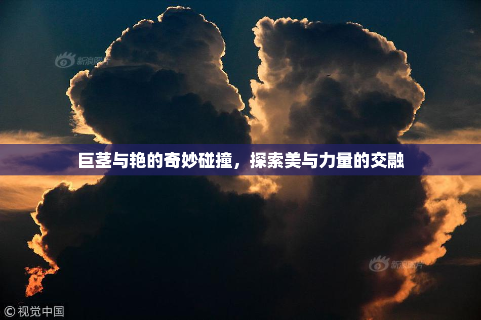 巨茎与艳的奇妙碰撞，探索美与力量的交融