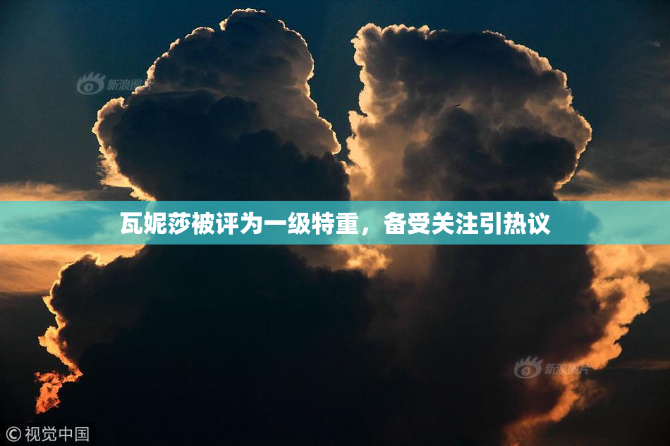 瓦妮莎被评为一级特重，备受关注引热议