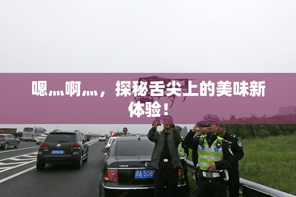 嗯灬啊灬，探秘舌尖上的美味新体验！