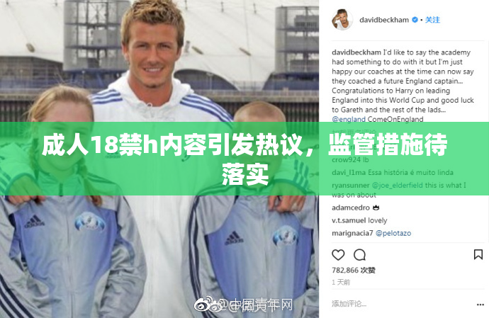 成人18禁h内容引发热议，监管措施待落实