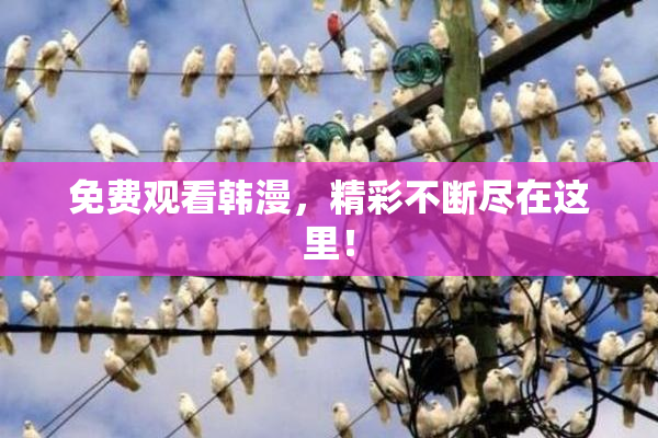 免费观看韩漫，精彩不断尽在这里！
