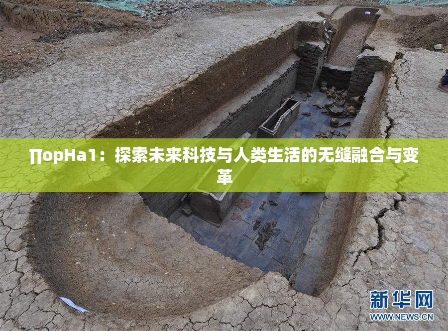 ∏opHa1：探索未来科技与人类生活的无缝融合与变革