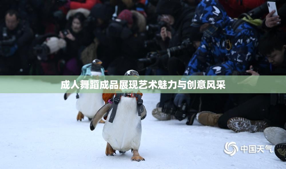 成人舞蹈成品展现艺术魅力与创意风采