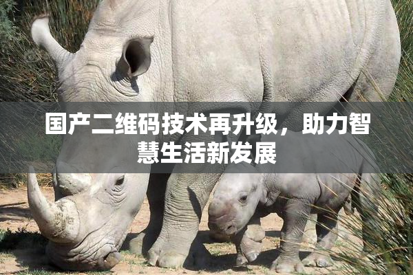 国产二维码技术再升级，助力智慧生活新发展