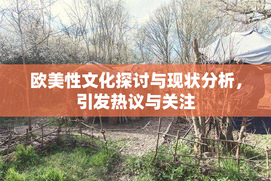 欧美性文化探讨与现状分析，引发热议与关注
