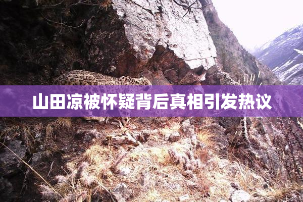 山田凉被怀疑背后真相引发热议