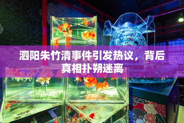 泗阳朱竹清事件引发热议，背后真相扑朔迷离