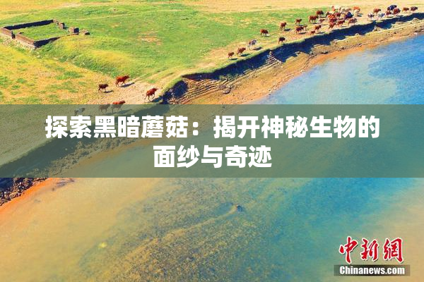 探索黑暗蘑菇：揭开神秘生物的面纱与奇迹