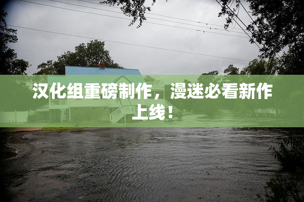 汉化组重磅制作，漫迷必看新作上线！