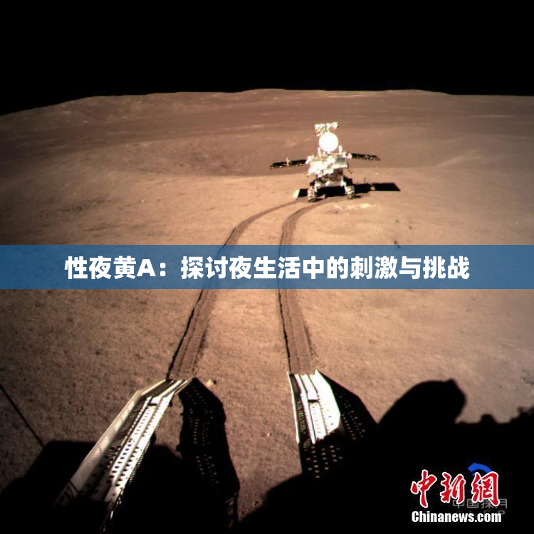 性夜黄A：探讨夜生活中的刺激与挑战