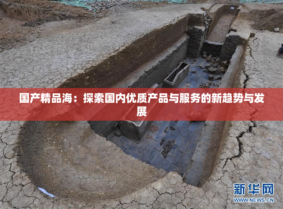 国产精品海：探索国内优质产品与服务的新趋势与发展