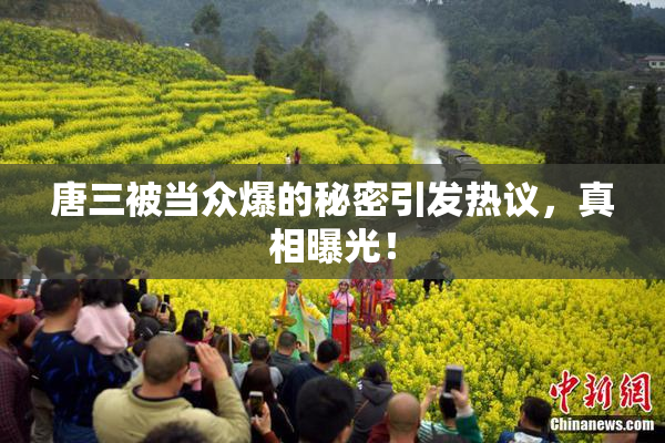 唐三被当众爆的秘密引发热议，真相曝光！