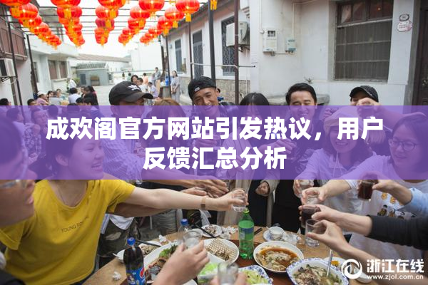 成欢阁官方网站引发热议，用户反馈汇总分析