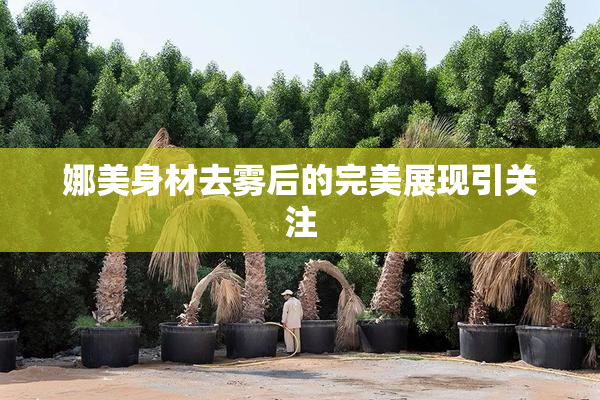 娜美身材去雾后的完美展现引关注