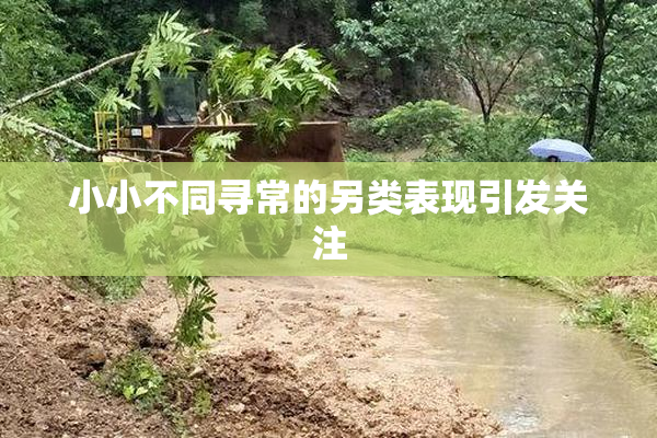 小小不同寻常的另类表现引发关注