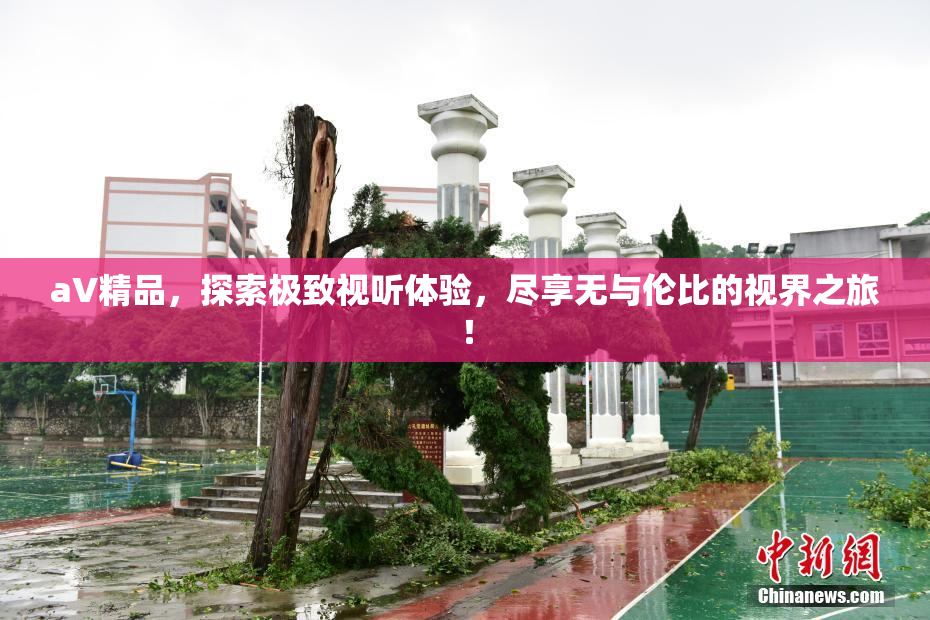 aV精品，探索极致视听体验，尽享无与伦比的视界之旅！