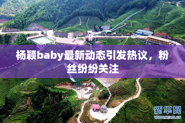 杨颖baby最新动态引发热议，粉丝纷纷关注