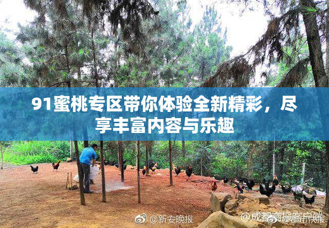 91蜜桃专区带你体验全新精彩，尽享丰富内容与乐趣