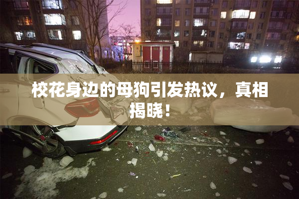 校花身边的母狗引发热议，真相揭晓！