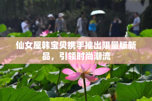 仙女屋韩宝贝携手推出限量版新品，引领时尚潮流
