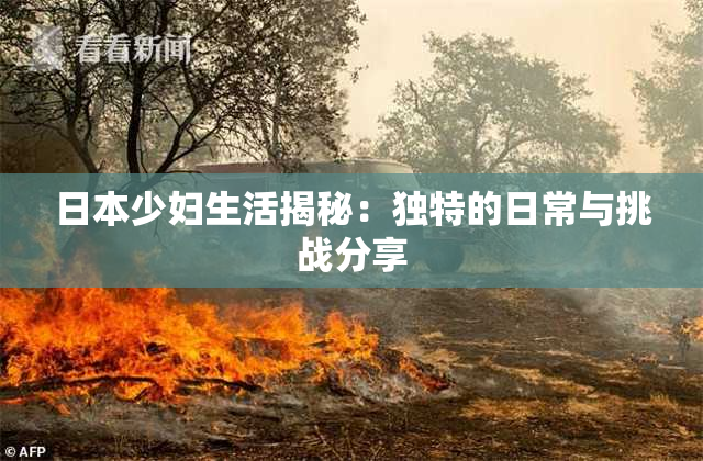 日本少妇生活揭秘：独特的日常与挑战分享