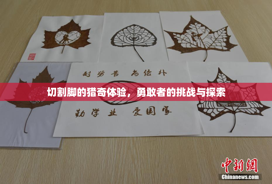 切割脚的猎奇体验，勇敢者的挑战与探索