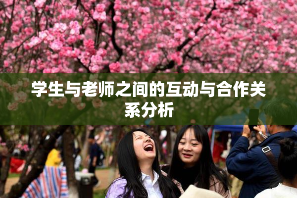 学生与老师之间的互动与合作关系分析