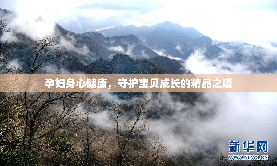 孕妇身心健康，守护宝贝成长的精品之道