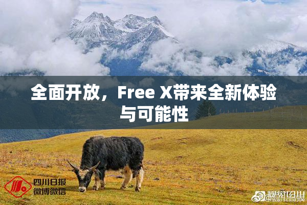 全面开放，Free X带来全新体验与可能性