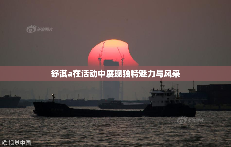 舒淇a在活动中展现独特魅力与风采