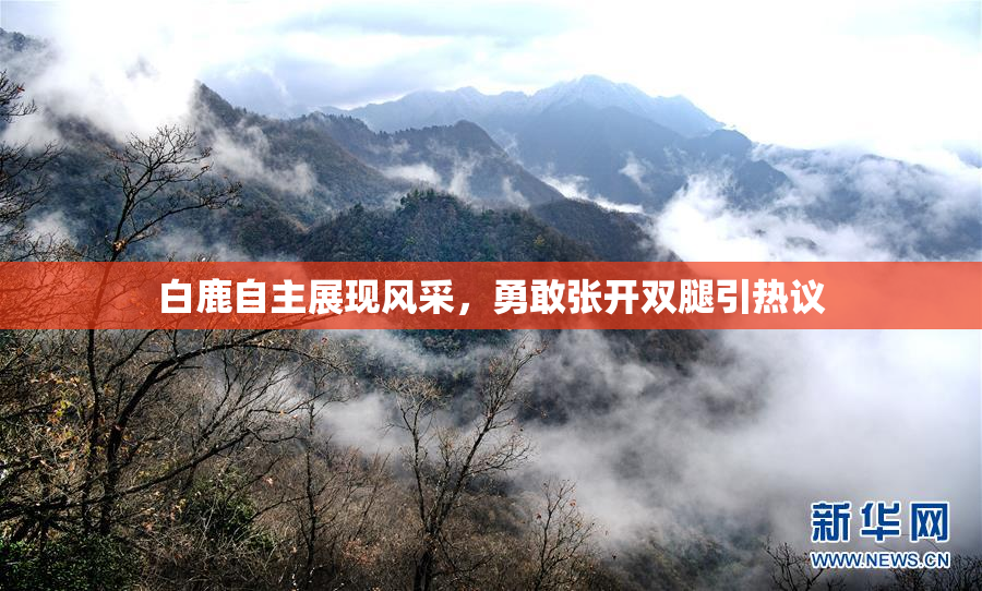 白鹿自主展现风采，勇敢张开双腿引热议