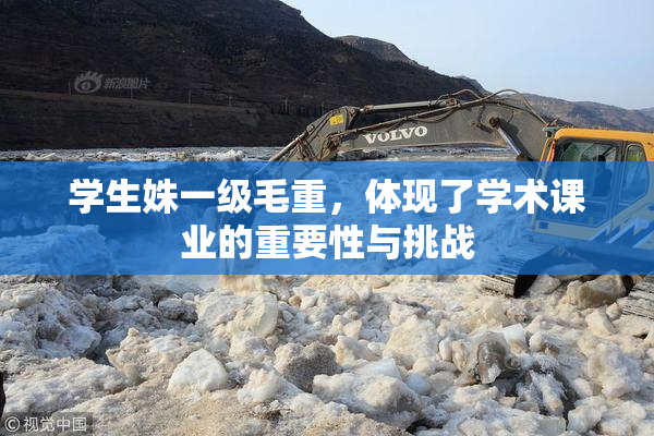 学生姝一级毛重，体现了学术课业的重要性与挑战