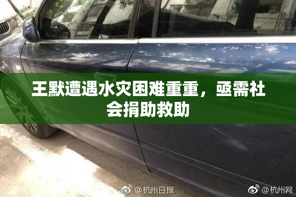 王默遭遇水灾困难重重，亟需社会捐助救助