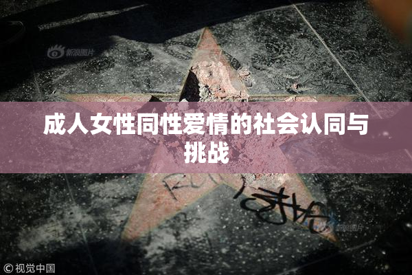成人女性同性爱情的社会认同与挑战