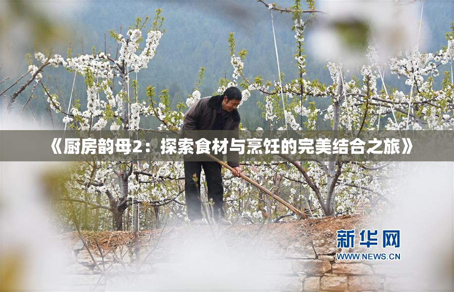 《厨房韵母2：探索食材与烹饪的完美结合之旅》