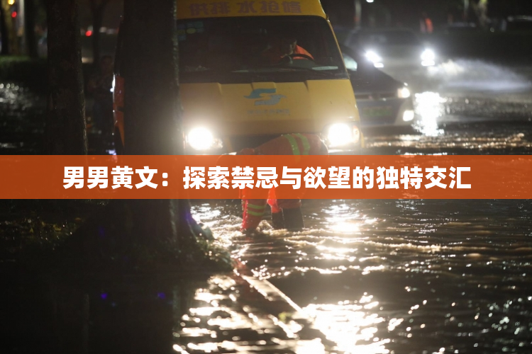 男男黄文：探索禁忌与欲望的独特交汇