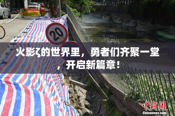 火影ζ的世界里，勇者们齐聚一堂，开启新篇章！