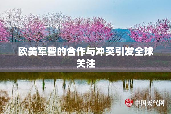 欧美军警的合作与冲突引发全球关注