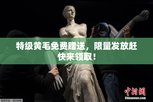 特级黄毛免费赠送，限量发放赶快来领取！